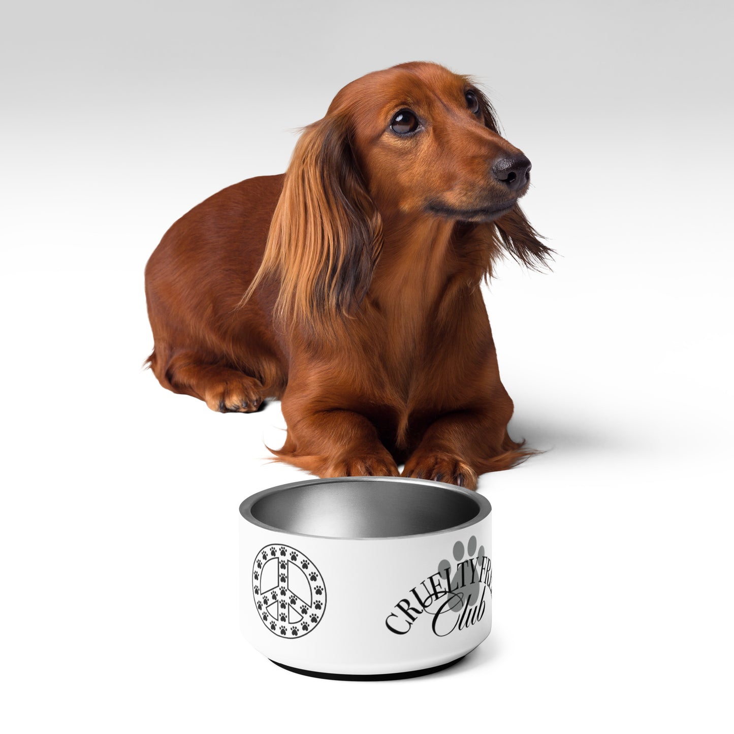 CFC Peace Pet Bowl