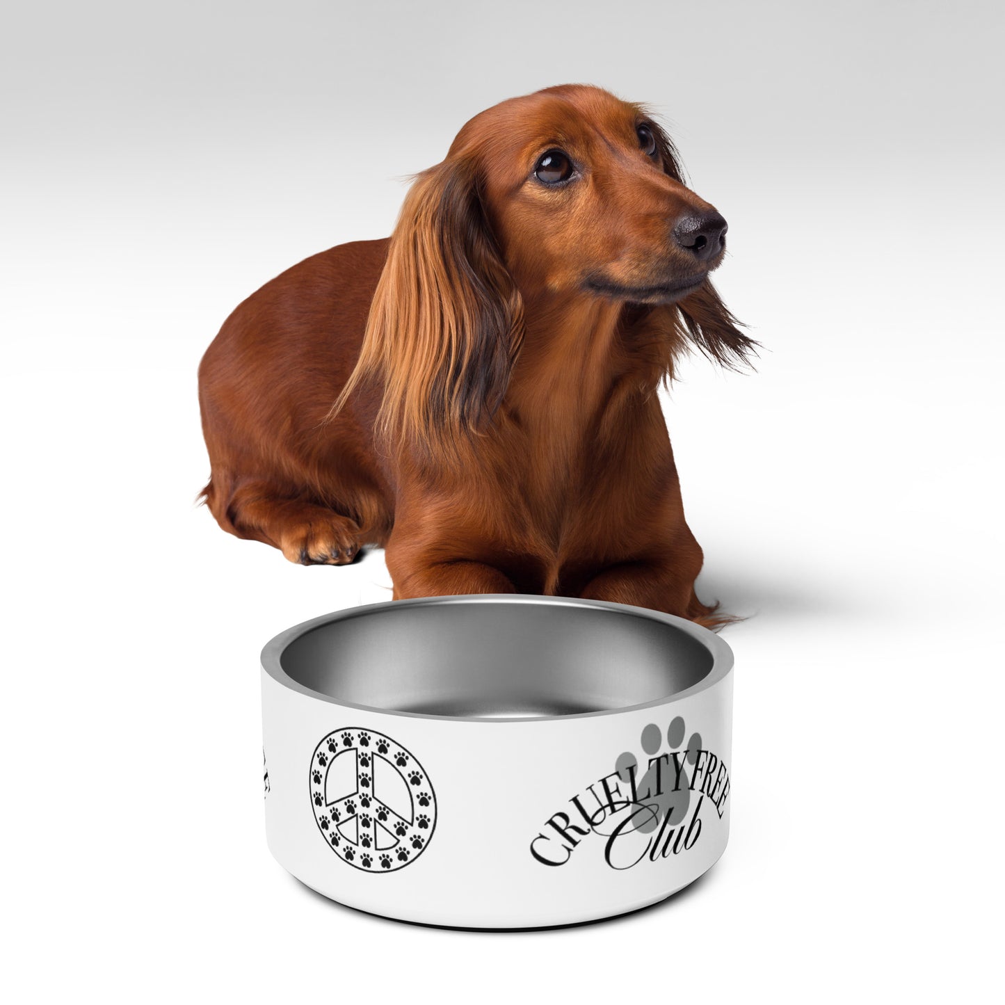 CFC Peace Pet Bowl